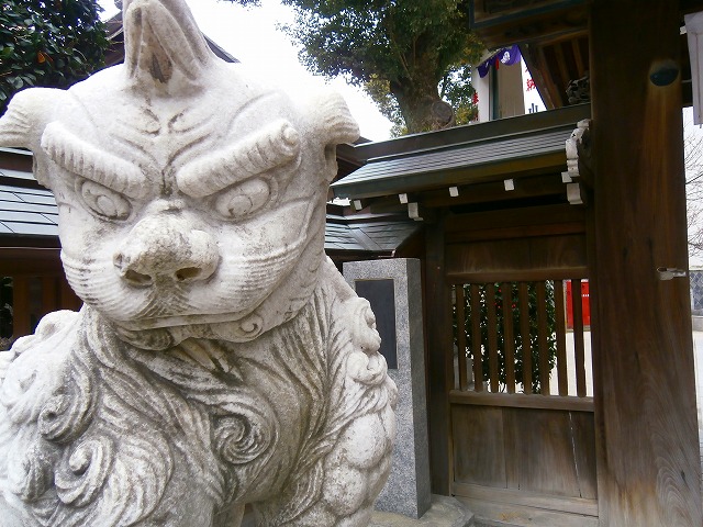 f:id:congiro:20130213013927j:image