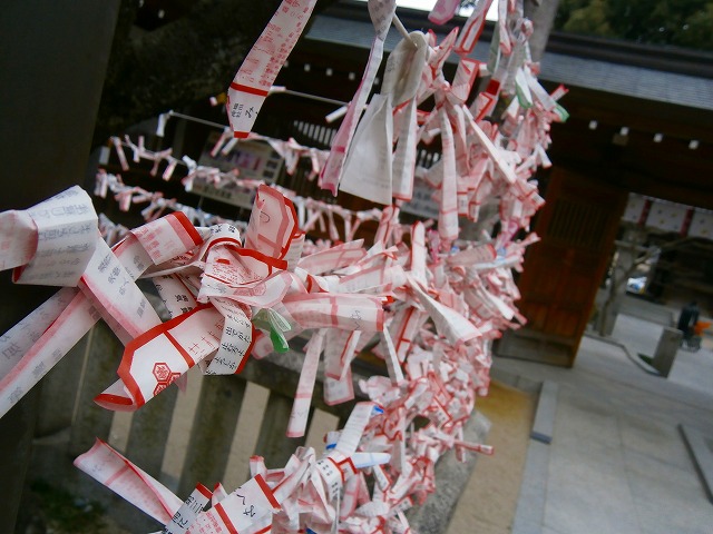 f:id:congiro:20130213013932j:image