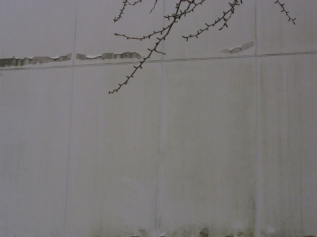 f:id:congiro:20130213013934j:image