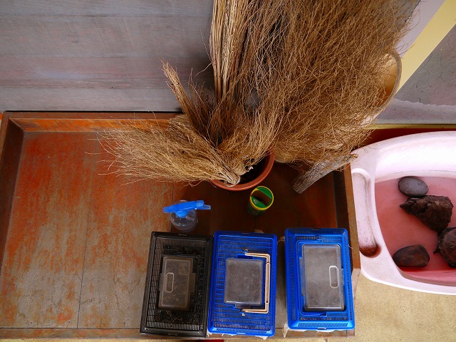 f:id:congiro:20130218014137j:image
