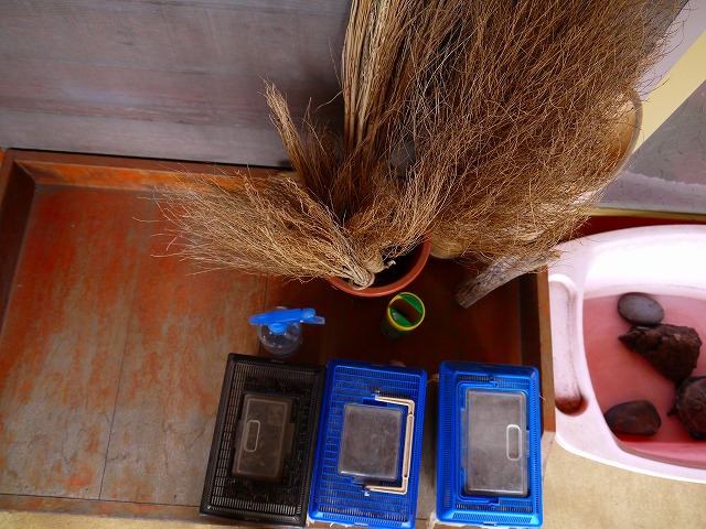 f:id:congiro:20130218014138j:image