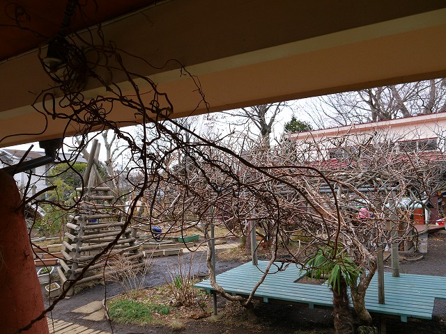 f:id:congiro:20130218014139j:image