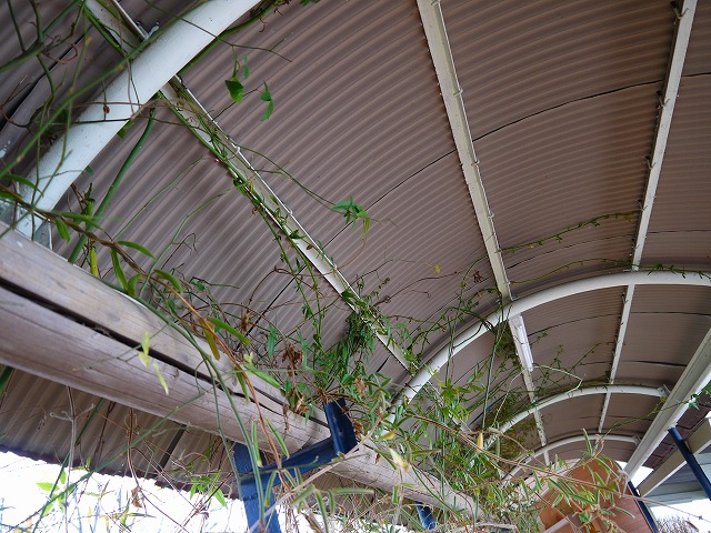 f:id:congiro:20130218014145j:image