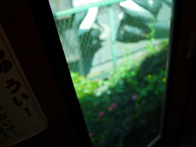 f:id:congiro:20130506011327j:image f:id:congiro:20130506011327j:image