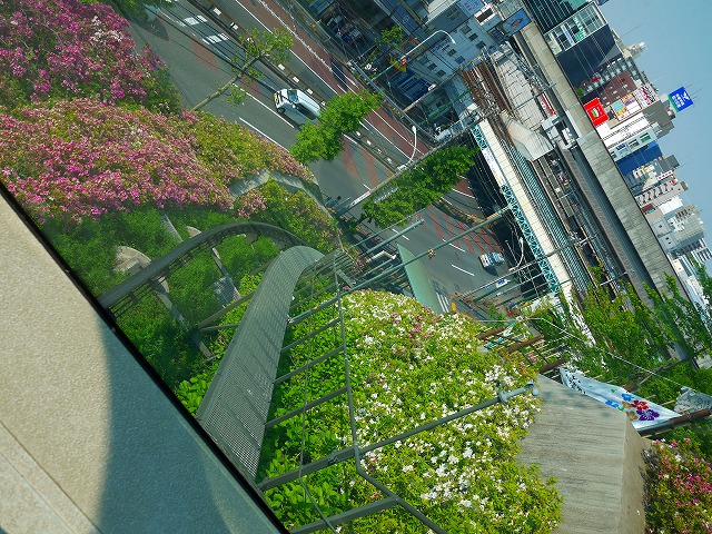 f:id:congiro:20130506011337j:image f:id:congiro:20130506011337j:image