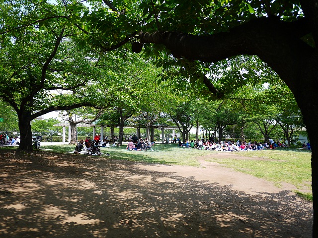 f:id:congiro:20130527003529j:image