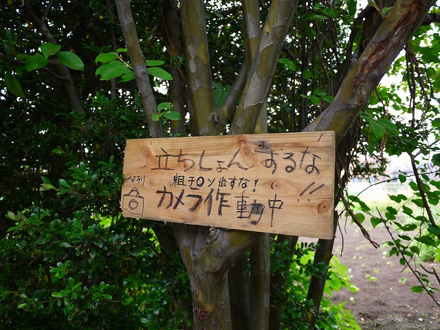 f:id:congiro:20130610013951j:image