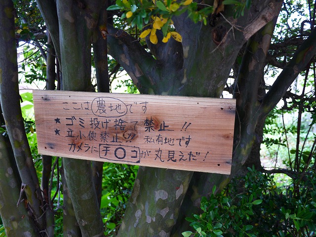 f:id:congiro:20130610013952j:image