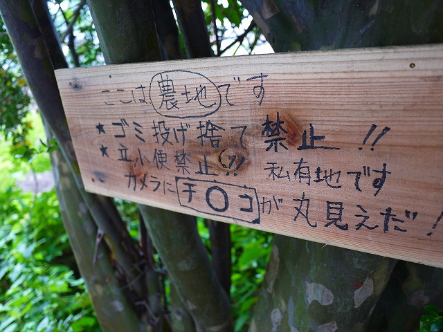 f:id:congiro:20130610013953j:image f:id:congiro:20130610013953j:image