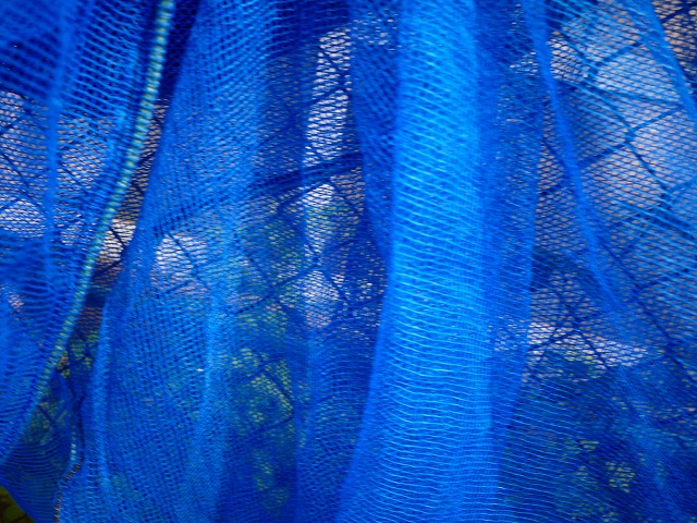 f:id:congiro:20130701110242j:image