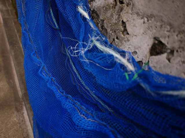 f:id:congiro:20130701110247j:image