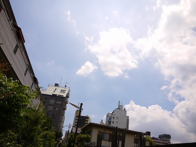 f:id:congiro:20130709021005j:image f:id:congiro:20130709021005j:image