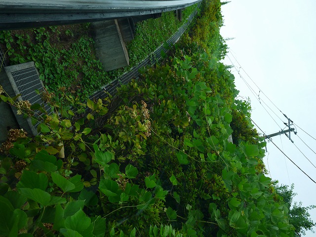f:id:congiro:20130715095726j:image f:id:congiro:20130715095726j:image