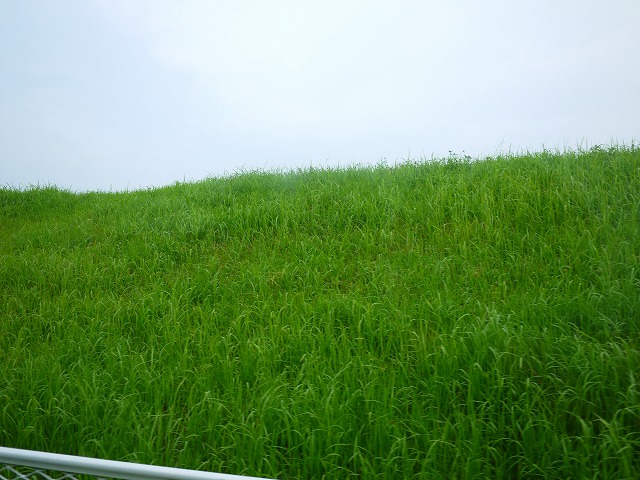 f:id:congiro:20130715095729j:image f:id:congiro:20130715095729j:image