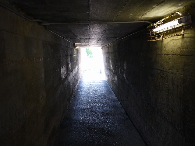 f:id:congiro:20130724064108j:image