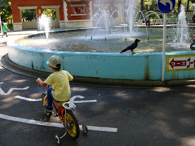 f:id:congiro:20130902164503j:image