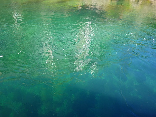 f:id:congiro:20130924112628j:image