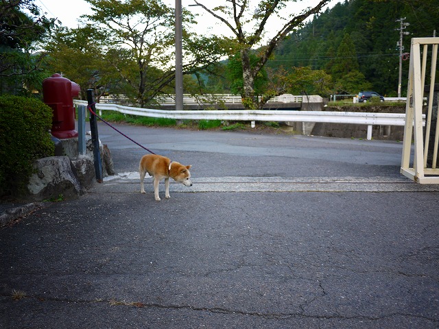 f:id:congiro:20130924112638j:image