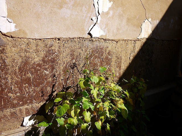 f:id:congiro:20130924112715j:image