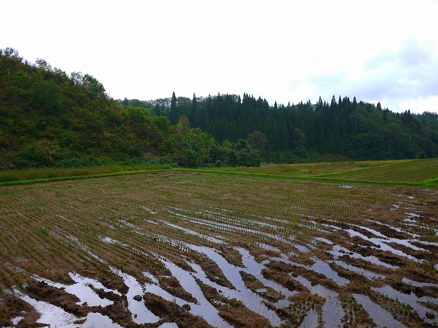 f:id:congiro:20131014231856j:image
