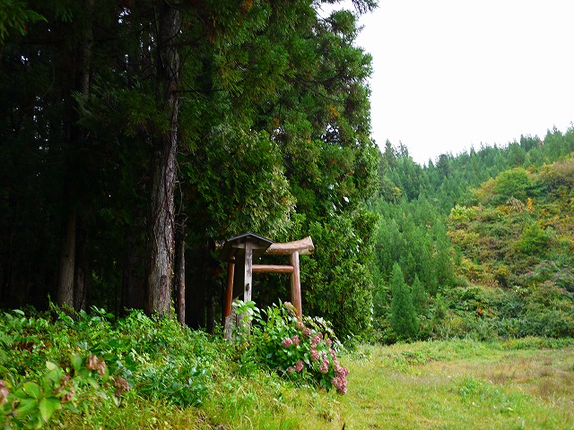 f:id:congiro:20131014231857j:image