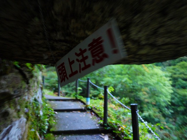 f:id:congiro:20131014231911j:image
