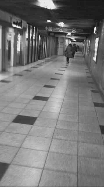 f:id:congiro:20140201224954j:image