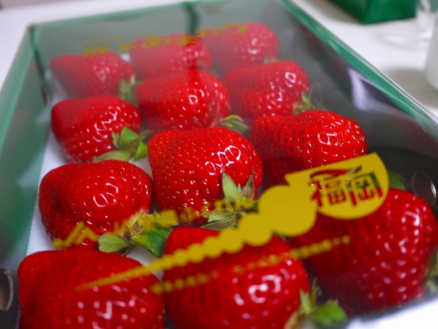 f:id:congiro:20140202232227j:image