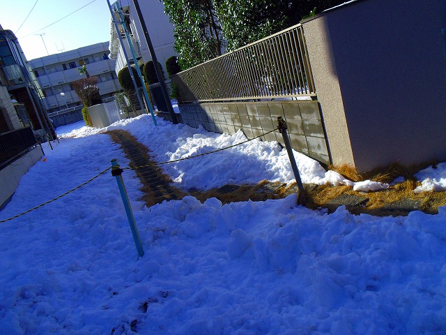 f:id:congiro:20140209234350j:image