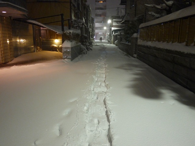 f:id:congiro:20140210070441j:image f:id:congiro:20140210070441j:image