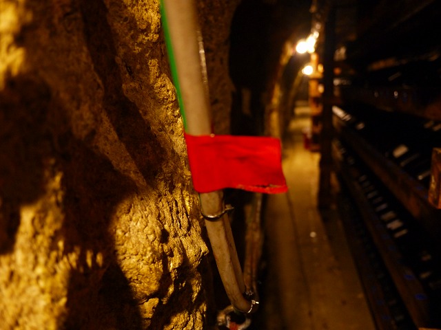 f:id:congiro:20140210070813j:image