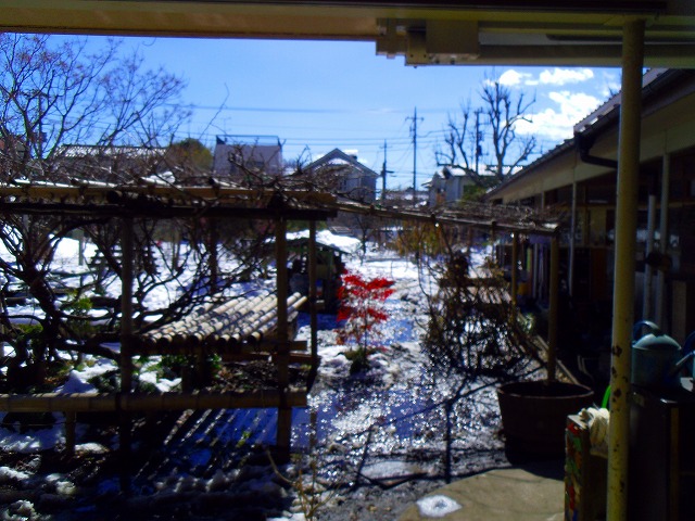 f:id:congiro:20140217001444j:image