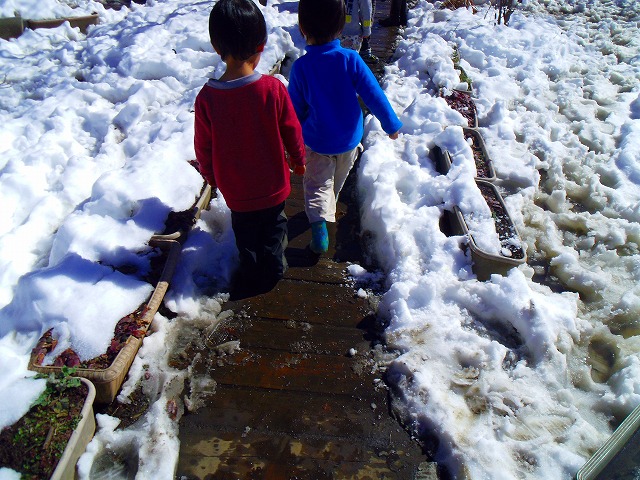 f:id:congiro:20140217001450j:image