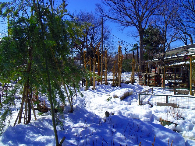 f:id:congiro:20140217001451j:image