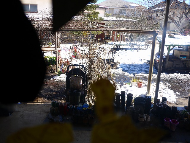 f:id:congiro:20140217001455j:image