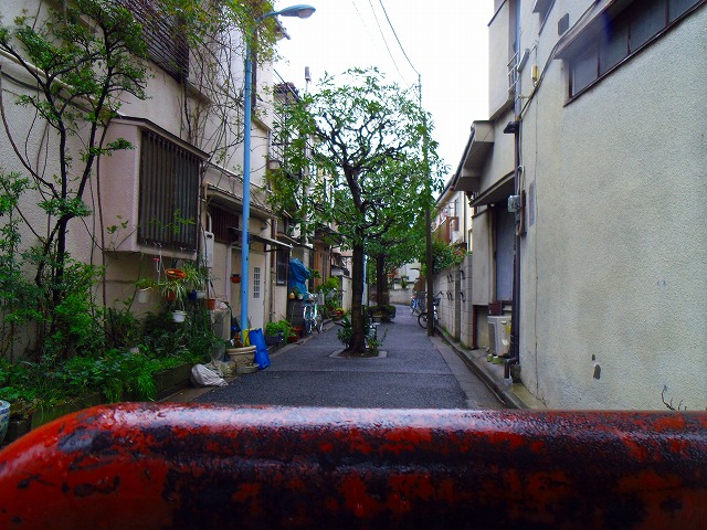f:id:congiro:20140330230348j:image