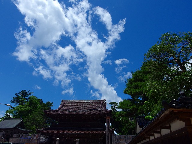 f:id:congiro:20140616124951j:image