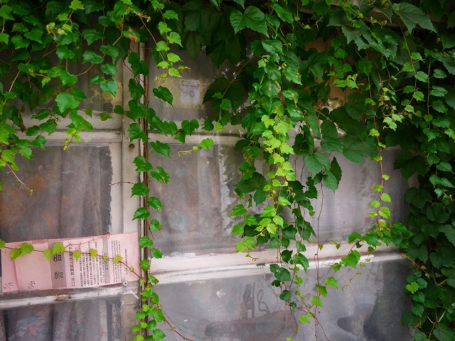 f:id:congiro:20140629230345j:image