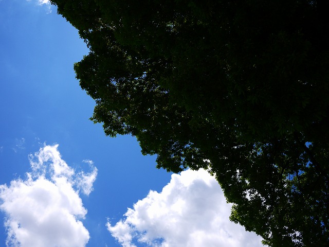 f:id:congiro:20140629230354j:image