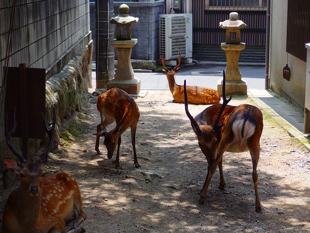 f:id:congiro:20140801002754j:image