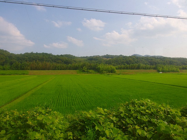f:id:congiro:20140801002802j:image