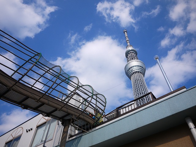 f:id:congiro:20140924001033j:image