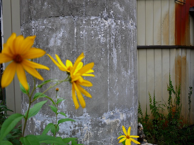 f:id:congiro:20141006151922j:image