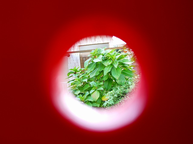 f:id:congiro:20141025231105j:image