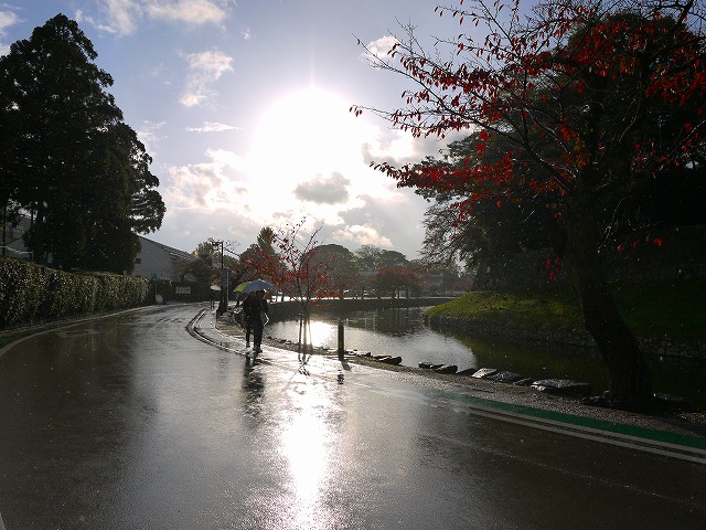 f:id:congiro:20141118235057j:image