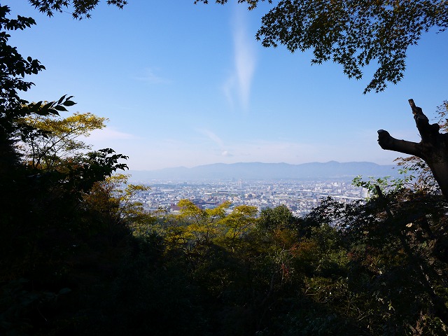 f:id:congiro:20141118235813j:image