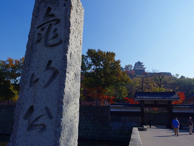 f:id:congiro:20141124204607j:image