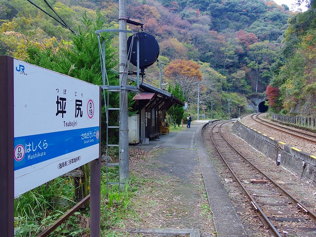 f:id:congiro:20141124204705j:image