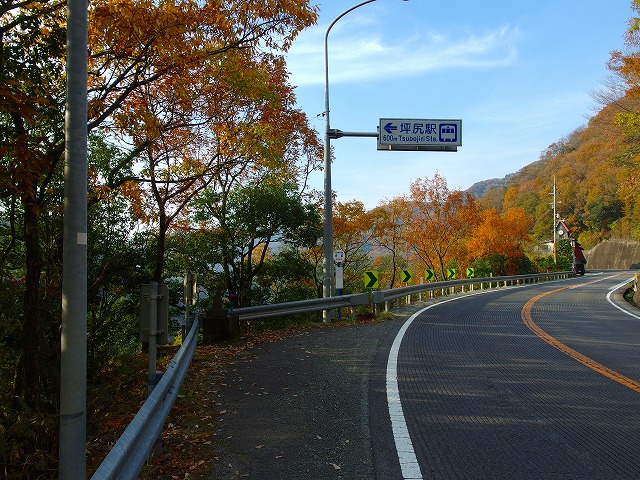 f:id:congiro:20141124204711j:image