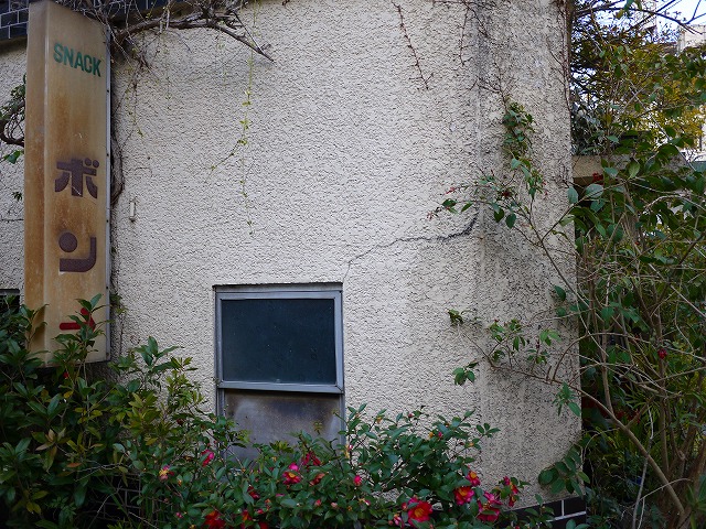 f:id:congiro:20150106163012j:image